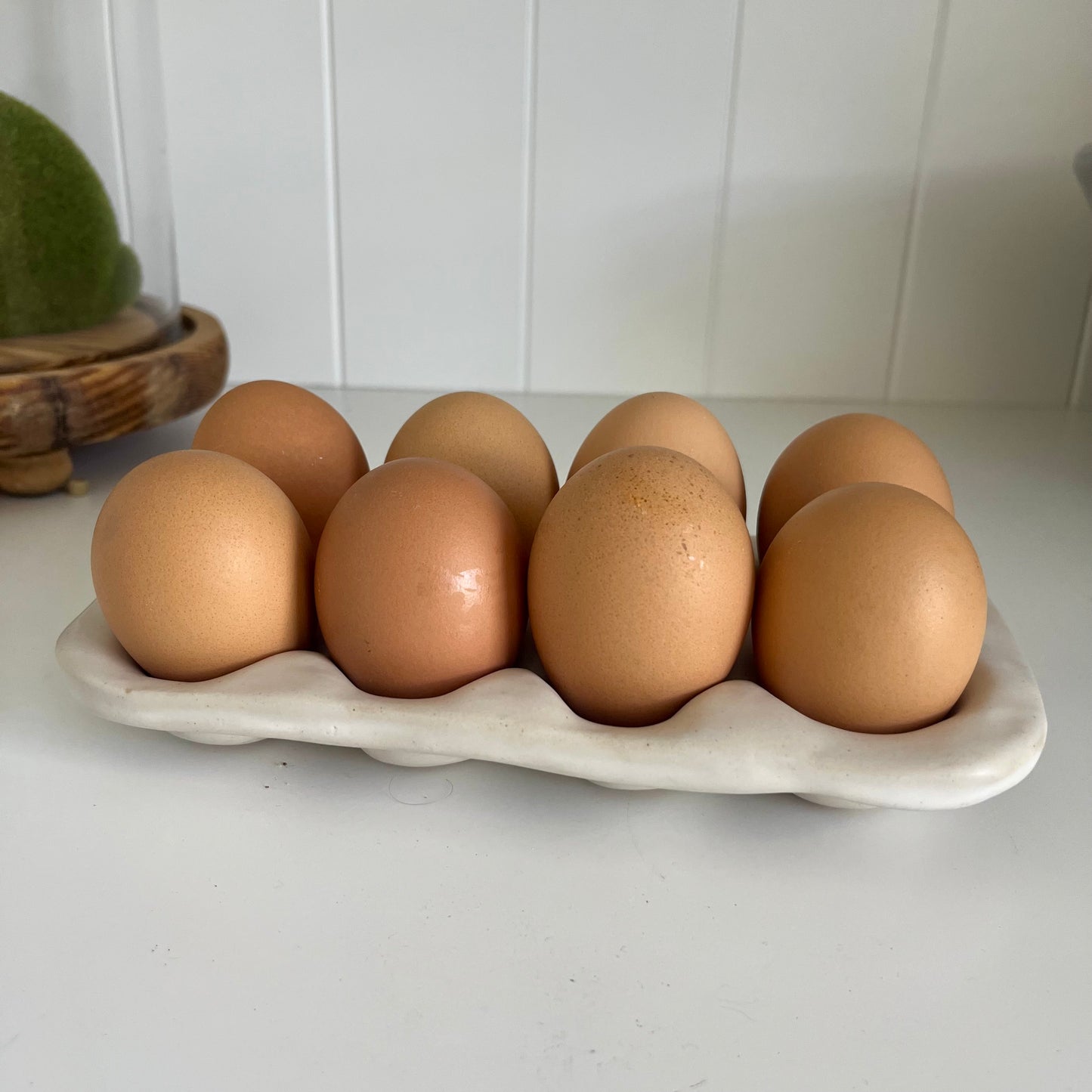 Egg Trays